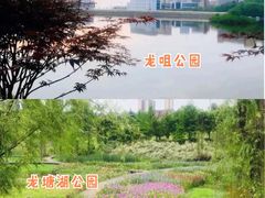 -重庆园博园