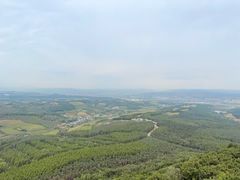 -帽儿山国家森林公园