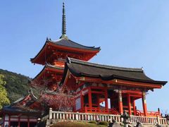 -有栖山 清光院 清水寺
