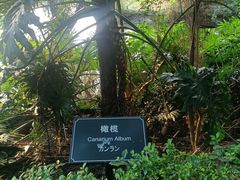 -厦门悦华酒店