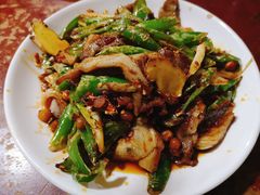 回锅羊肉-野狗羊肉汤