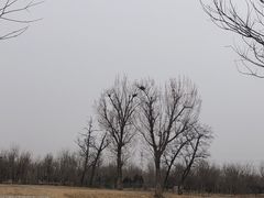-马家湾湿地公园