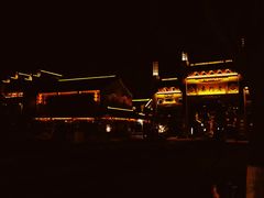 -两棵枇杷树