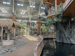 -南宫五洲植物乐园