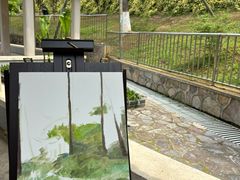 -南京古林公园