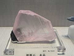 -湖南省地质博物馆