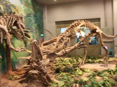 -自贡恐龙博物馆