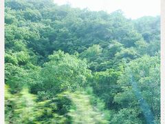-牛背梁国家森林公园