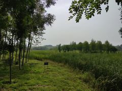 -东郊湿地公园