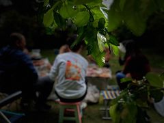 -铁山坪森林公园