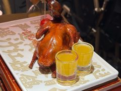 -大鸽饭(北京路店)