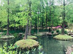 -上海滨江森林公园