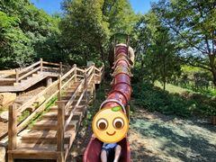 -北京西山国家森林公园