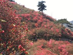 -木兰云雾山