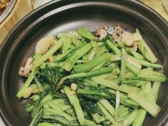 -老阿妈蒙古村·蒙古包·草原文化·歌舞表演(老君堂店)