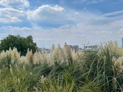 -上海山野camping·户外天幕烧烤·团建拓展营地