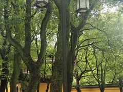 -西园戒幢律寺