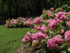 -上海滨江森林公园
