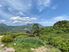 -重庆睡佛山森林公园