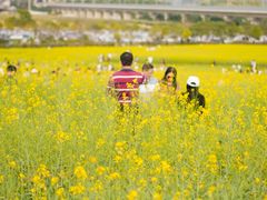 -光明小镇欢乐田园