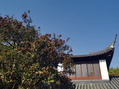 -秋霞圃