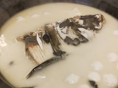 有机大鱼头汤-前门烤鸭(江东中路店)
