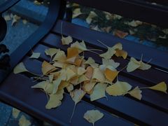 -绿地·中山里