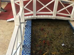 -雅逸居海鲜小厨