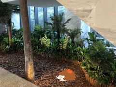 -上海虹桥西郊假日酒店