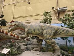 -国家自然博物馆