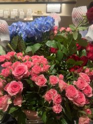 -禾美科技美肤·芳香疗愈SPA联合会所