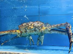 -钱山海鲜大排档