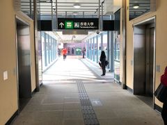 -香港大学