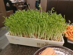 鲜活豌豆苗-湊湊火锅·茶憩(打浦桥日月光店)