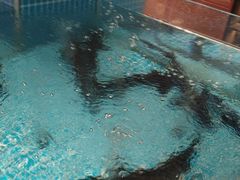 -全聚德烤鸭店(准噶尔路店)