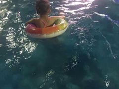 -戊辰亲子游泳俱乐部