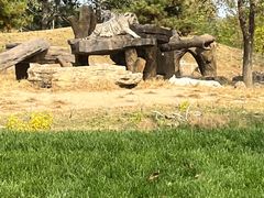 -北京野生动物园