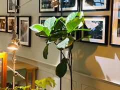 -一尺花园(安和花园店)