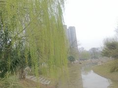 -堤角公园