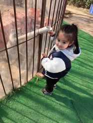 -萌宠亲子动物乐园(槐房万达店)