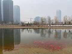 -西海子公园