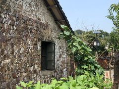 -巢湖姥山岛