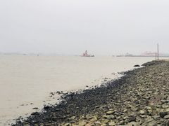 -上海滨江森林公园