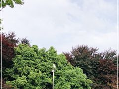 -铁山坪森林公园