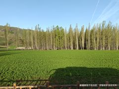-新疆那拉提国家旅游度假区