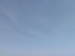 -南大港湿地风景区