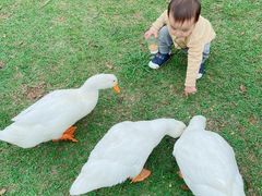 -Club Med地中海俱乐部·桂林度假村