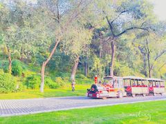 -北京张裕爱斐堡酒庄