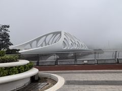 -星光岛