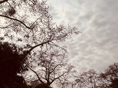 -广州中山纪念堂